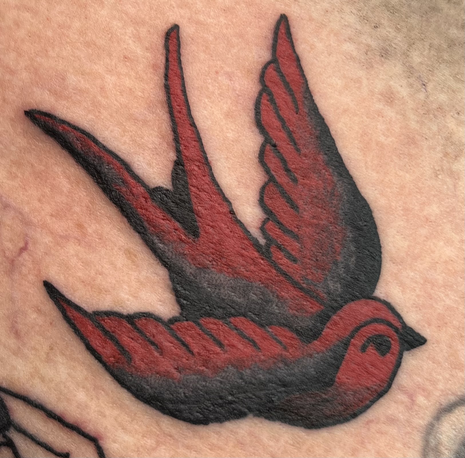 Tattoo by Dead Doll Tattoos, Brisbane — example 3